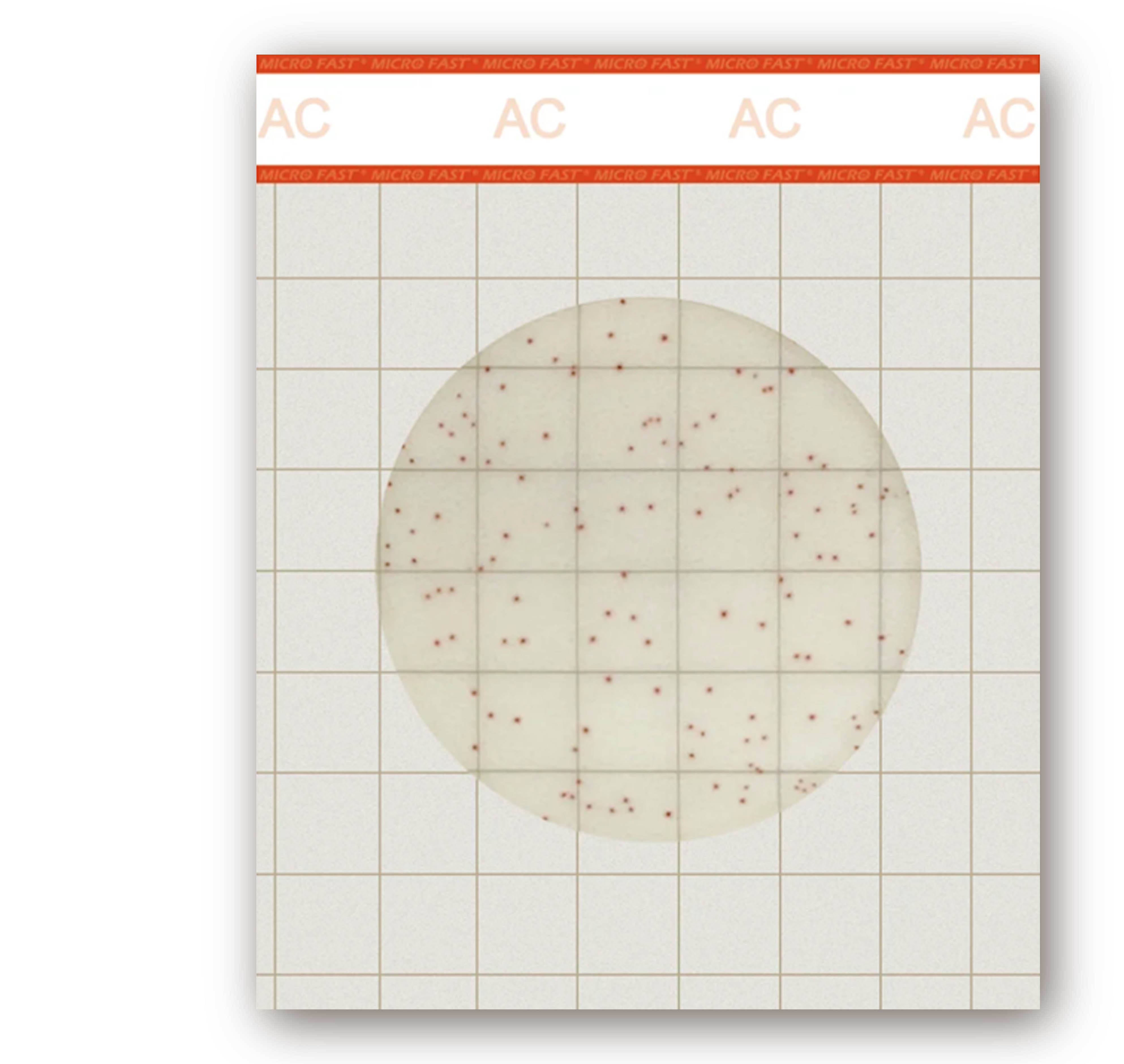 MicroFast  AC 總生菌數檢測片 Aerobic Plate Count