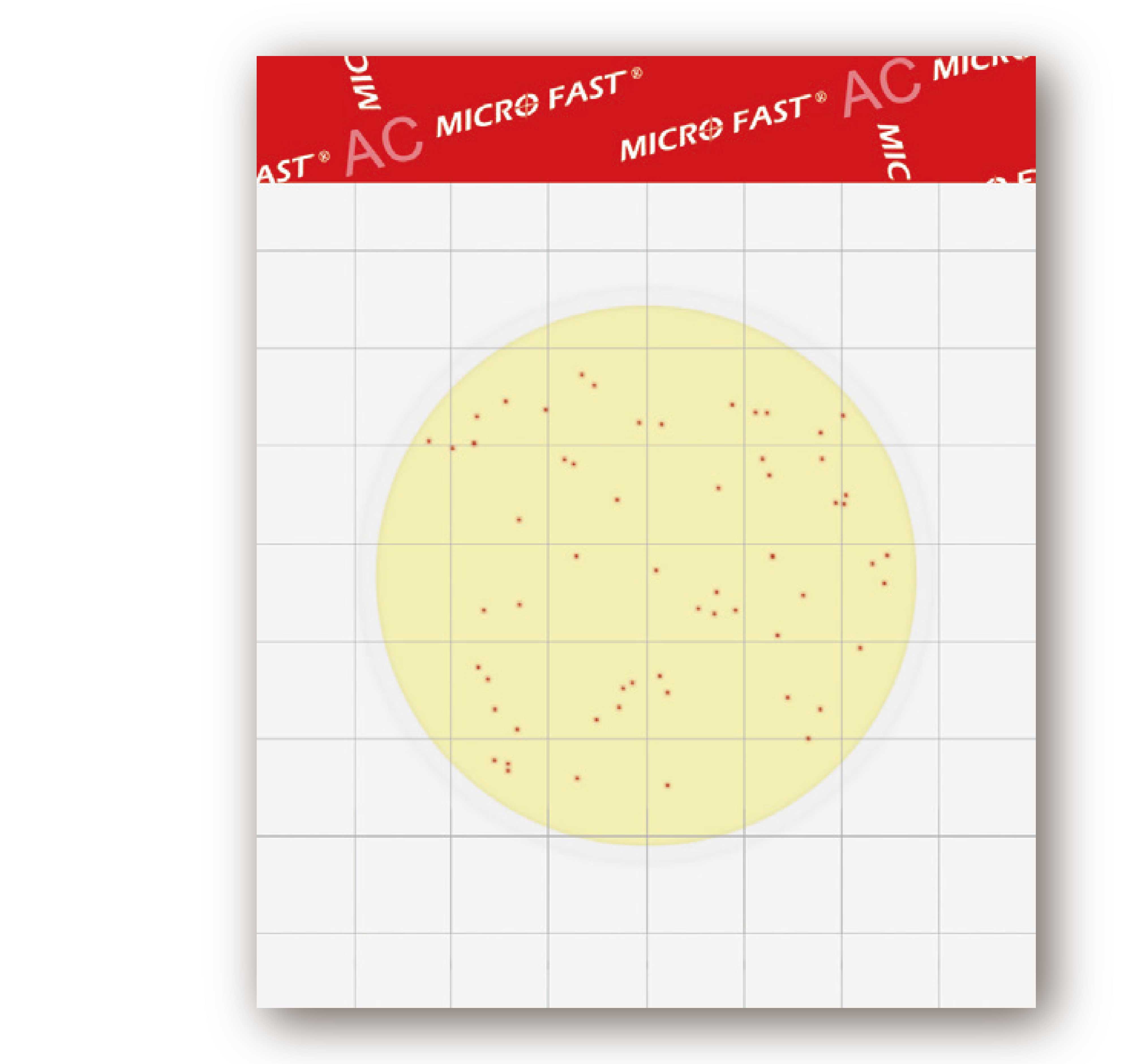 MicroFast  AC 總生菌數檢測片 Aerobic Plate Count