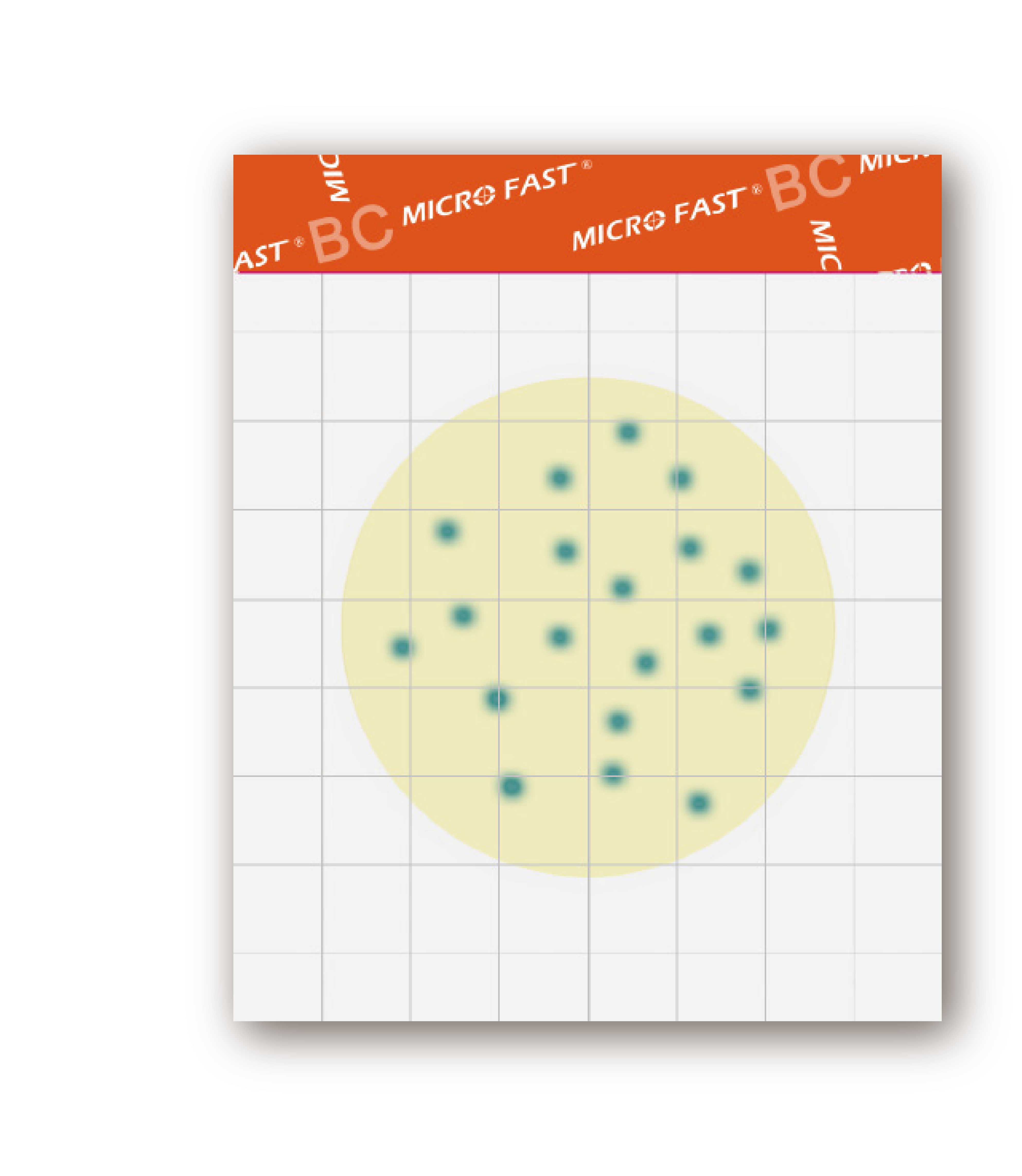 MicroFast BC 仙人掌桿菌檢測片 Bacillus cereus Count Plate