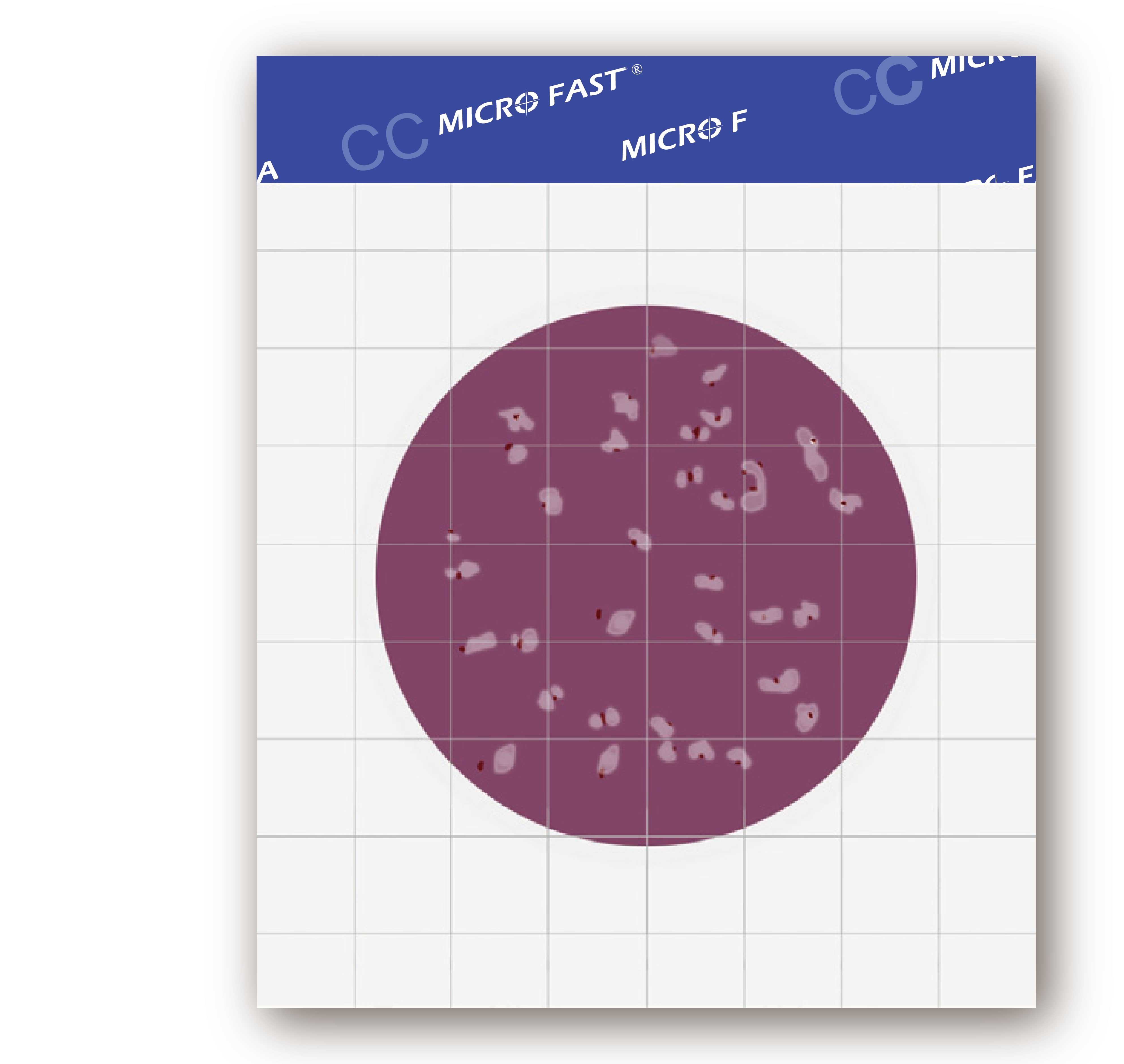 MicroFast CC 大腸桿菌群檢測片 Coliform Count Plate