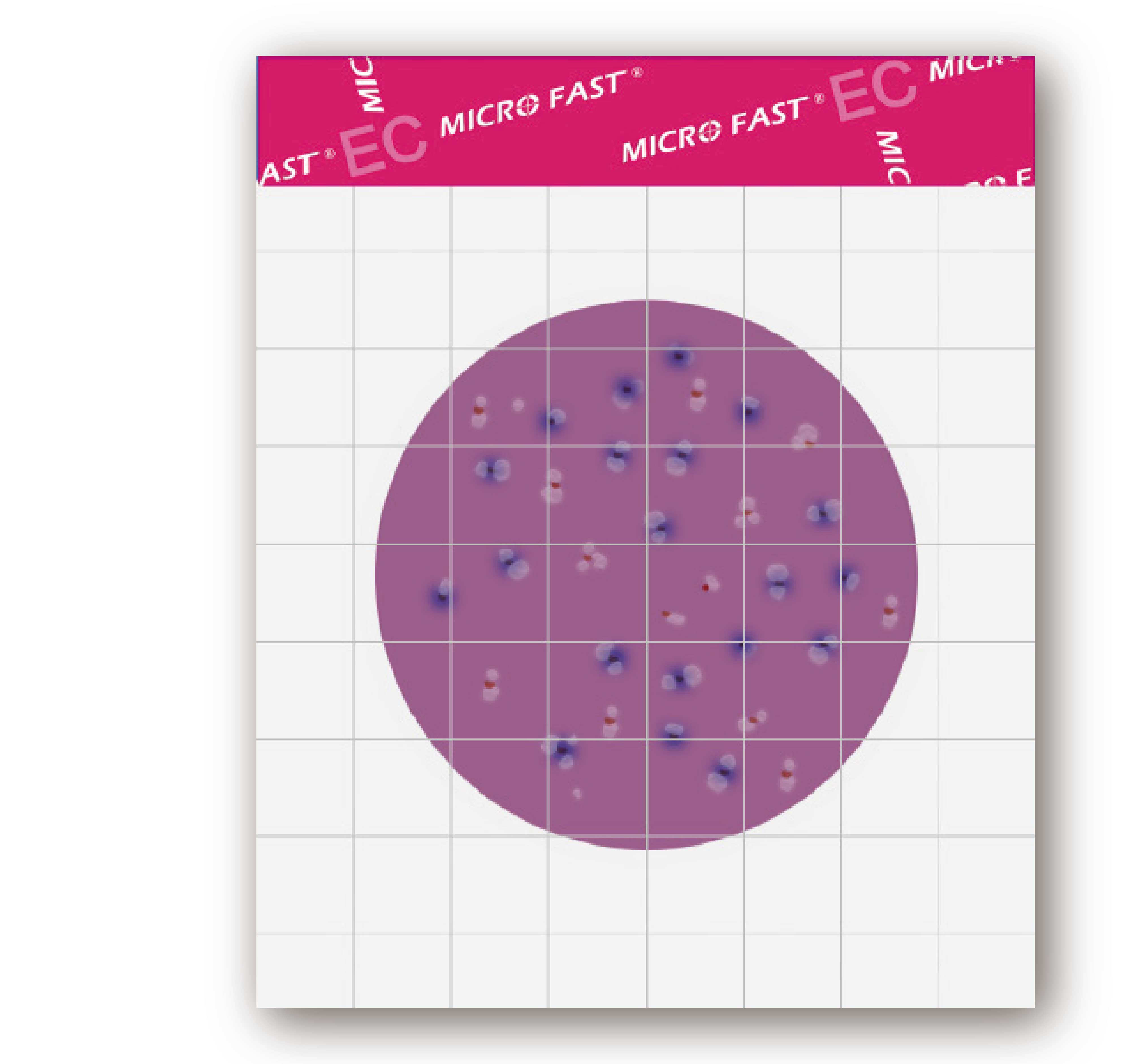 MicroFast EC 大腸桿菌/大腸桿菌群檢測片 Coliform & E.coli Count Plate