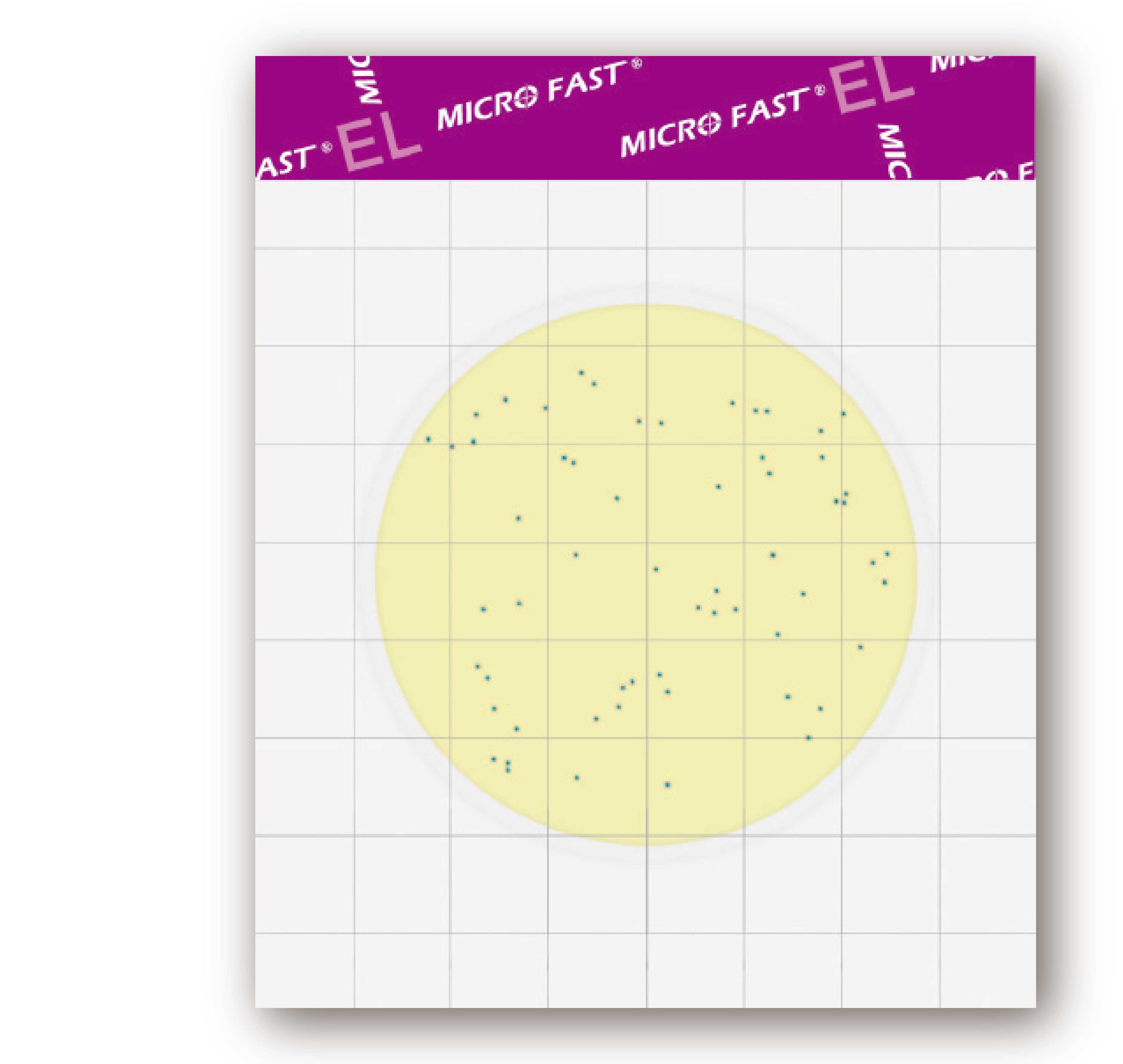 MicroFast EL 環境李斯特菌測試片 Environmental Listeria Count Plate