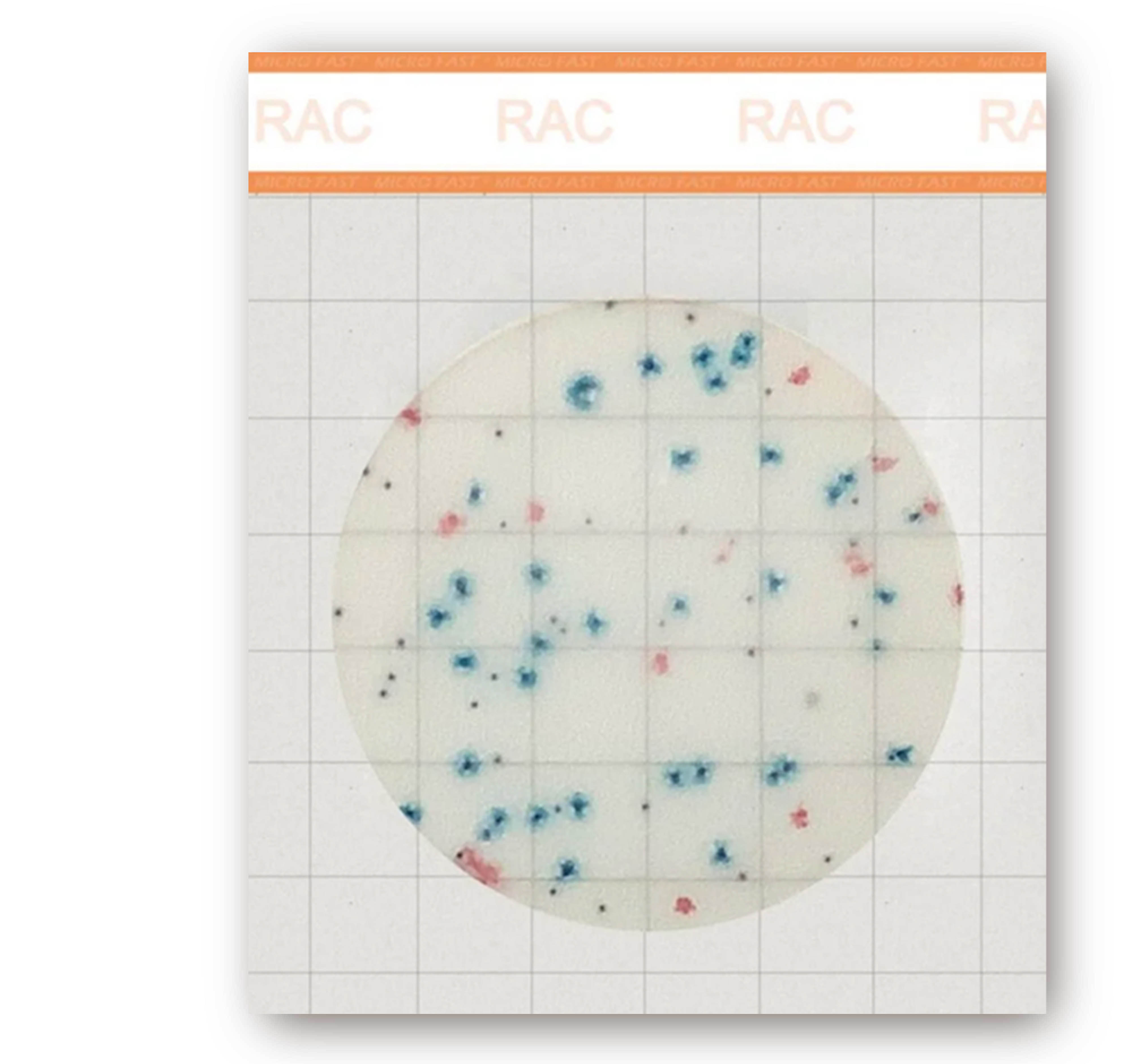 MicroFast  AC 總生菌數檢測片 Aerobic Plate Count