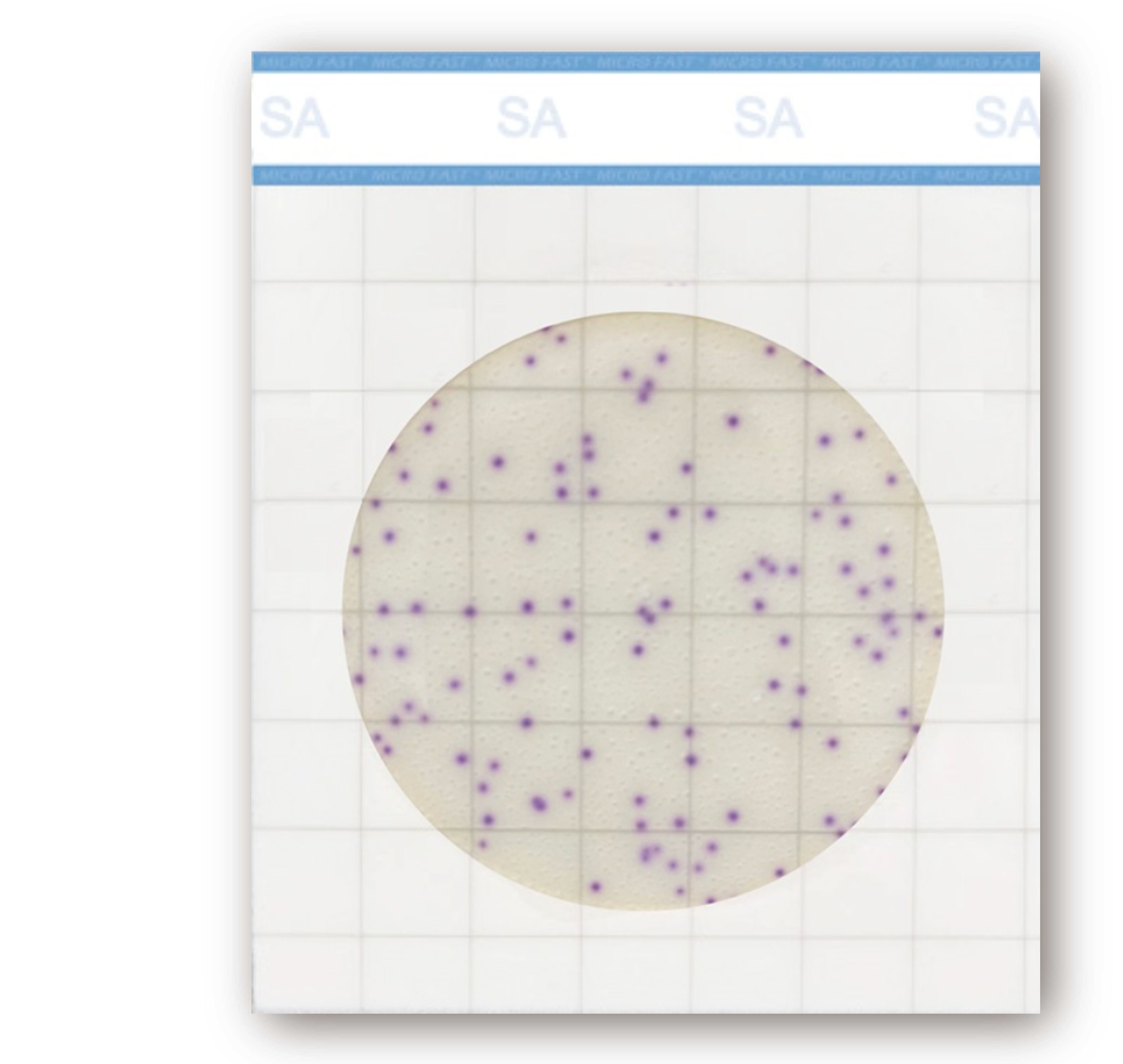 MicroFast SA 金黃色葡萄球菌檢測片 Staphylococcus aureus Count Plate