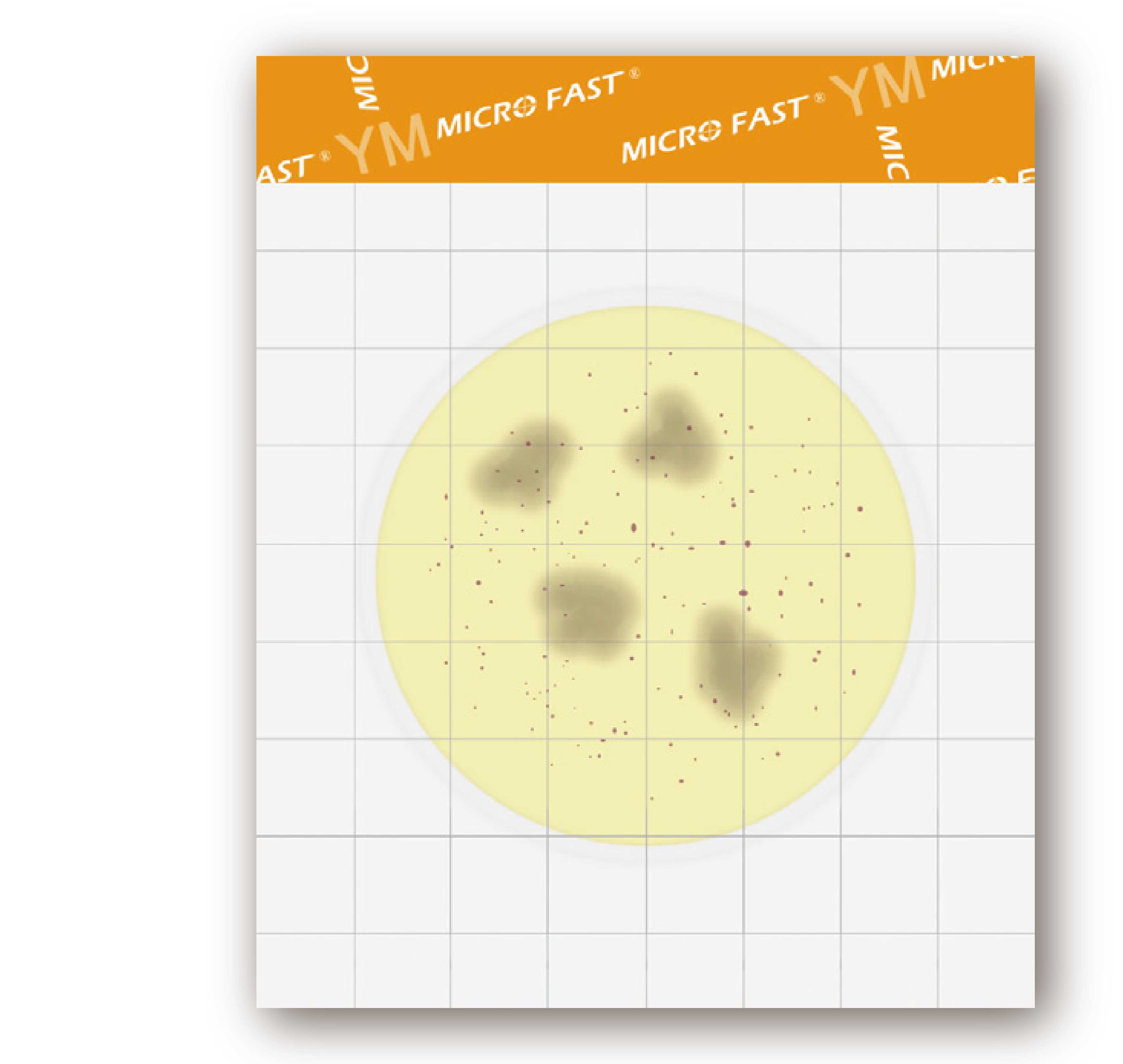 MicroFast YM 黴菌/酵母菌檢測片 Yeast & Mold Count Plate